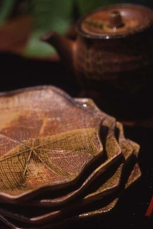 家族の特別な瞬間を残す！二子玉川のおすすめ写真館完全ガイド