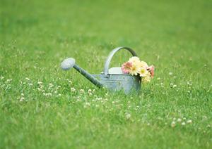 便利に活用できる徳島市にある本買取の店