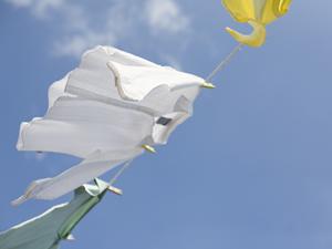 在庫買取を行っている会社について