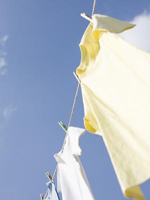 仙台市に有効なホームページ制作を行う会社があります