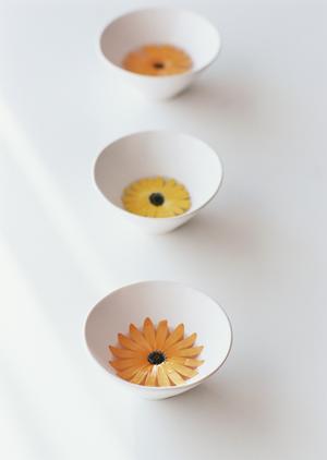 アフターケア充実のpcレンタル